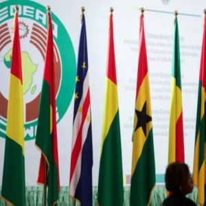 Ecowas Adjusts Plans Amid Concerns: Togo Visit Altered Due to Constitutional Changes